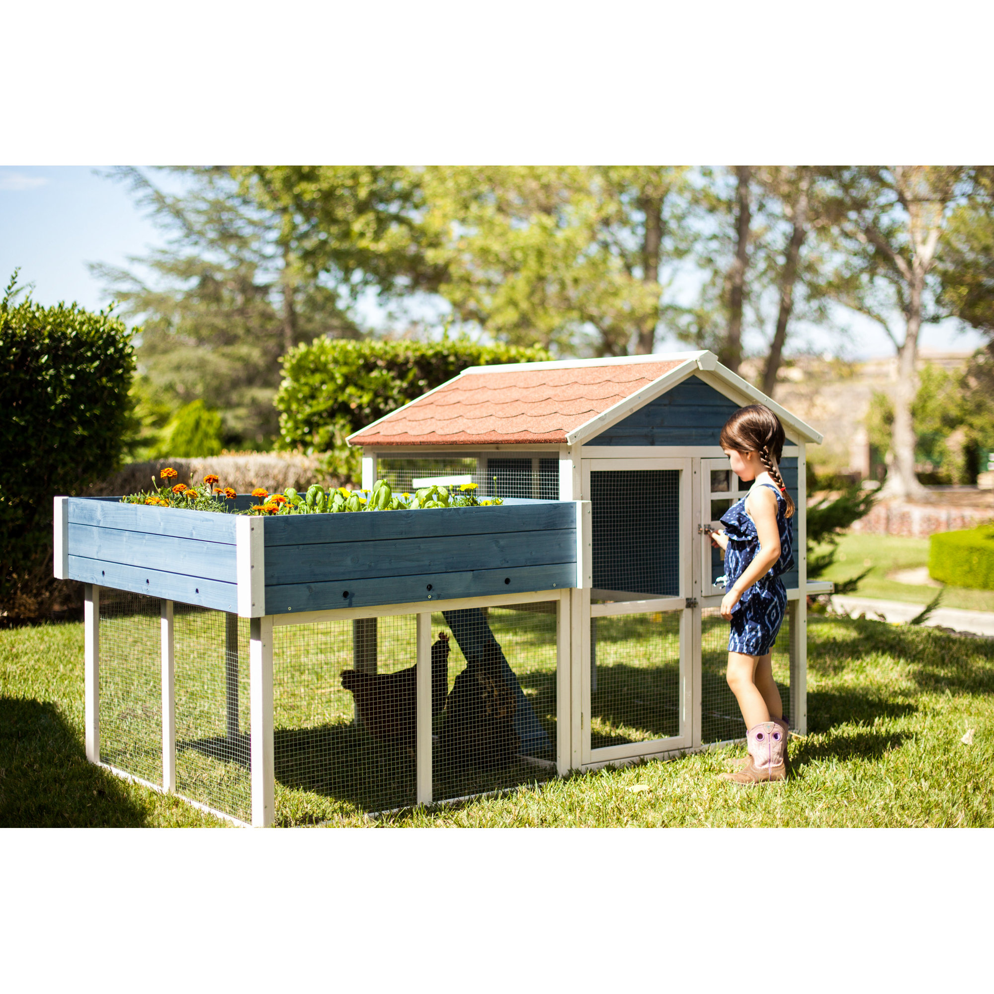 Advantek The Rooftop Garden Chicken Coop & Reviews Wayfair